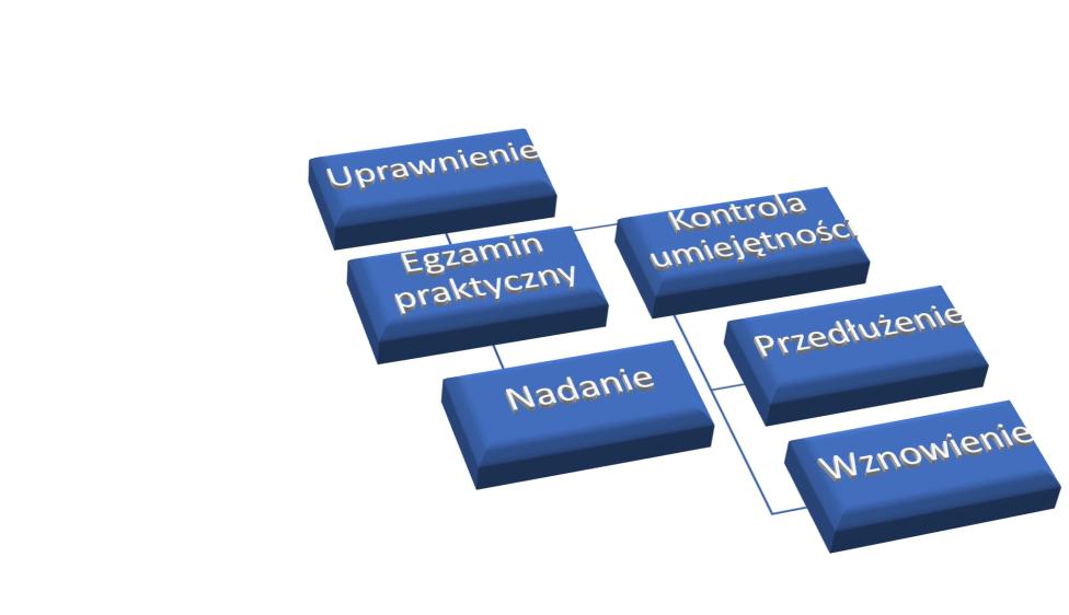 Egzaminy w powietrzu lub na symulatorze: egzamin praktyczny, kontrola